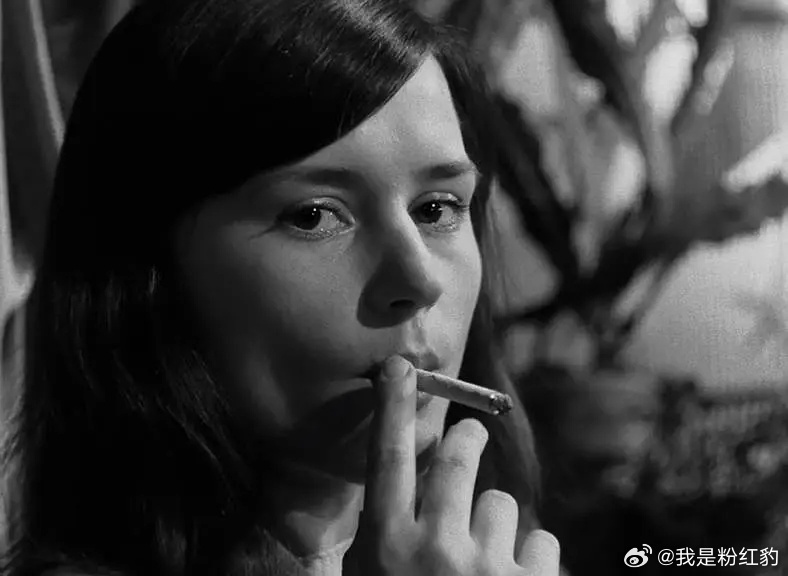 《与莫妮卡的夏天》1953 瑞典峡湾、岩石、大海、浪涛……处处是少女莫妮卡袒露的