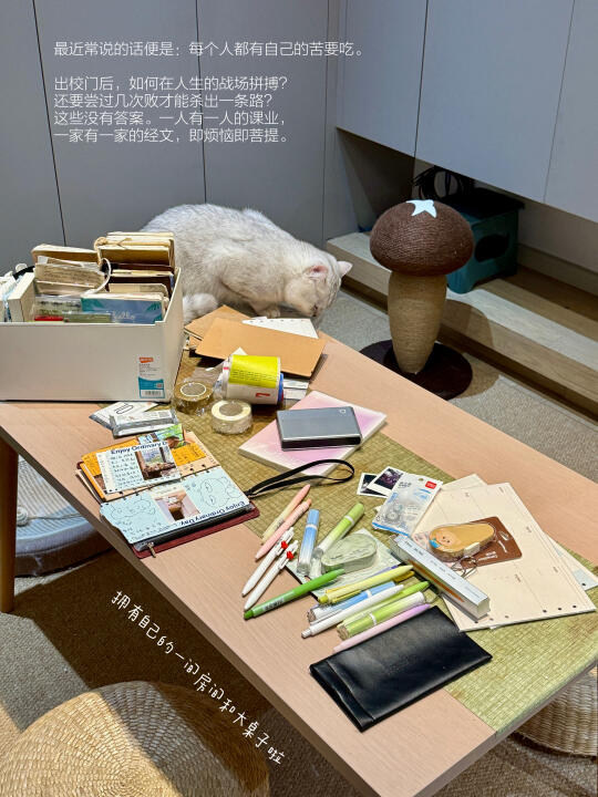 人，你比想象的更自由！