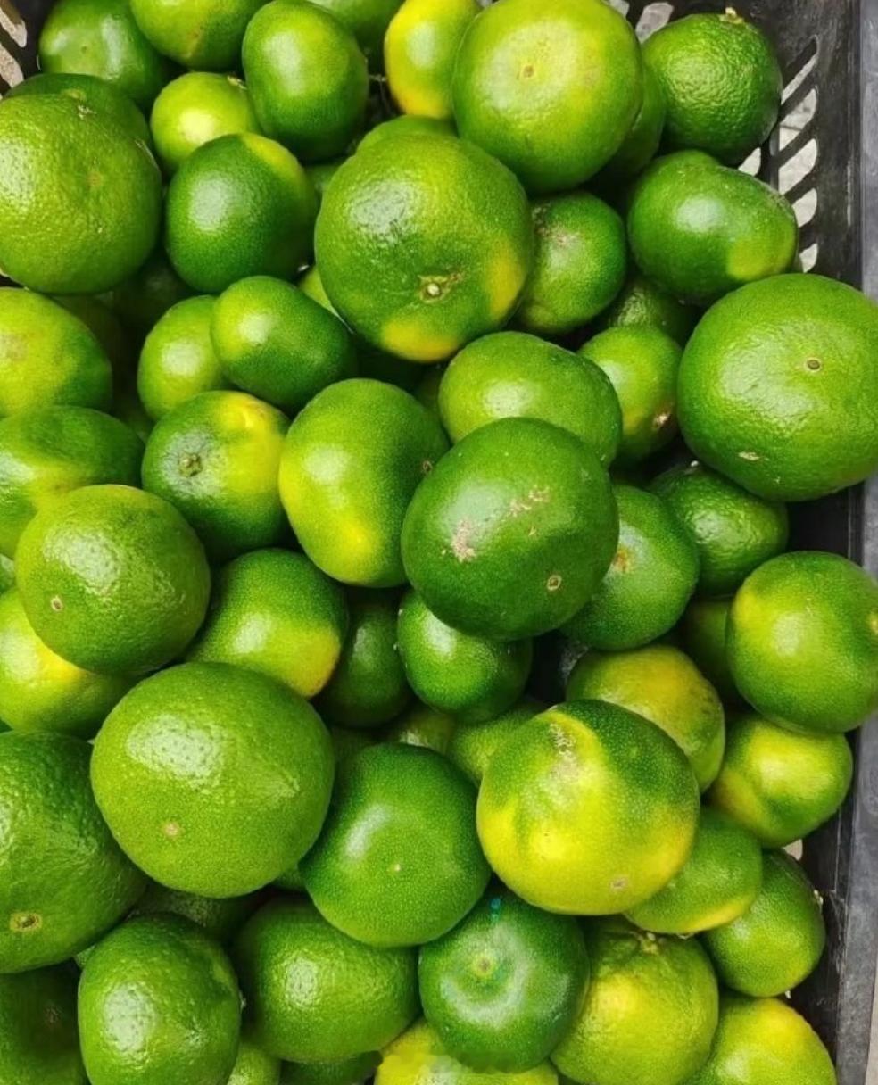 被淘汰的水果印象特别深的就是青皮橘子，小时候常吃，不是纯甜口，带着点酸味，汁水还