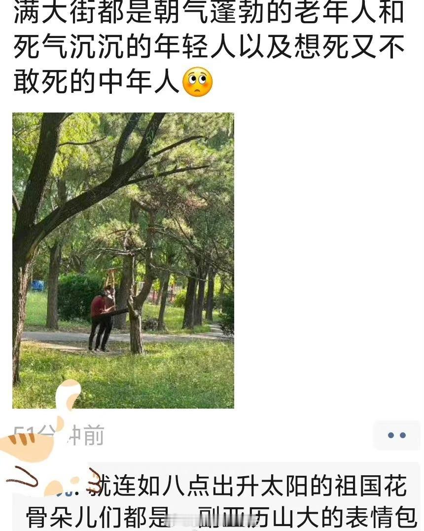 #朋友圈先仅自己可见三天后再公开#你就非摁着朋友圈使劲呗？写微博上不行么[傻眼]