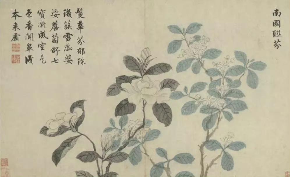 明朝一代大家文征明的书法相当有名，但他的花卉作品也是一绝，不仅风格独特，画风清新