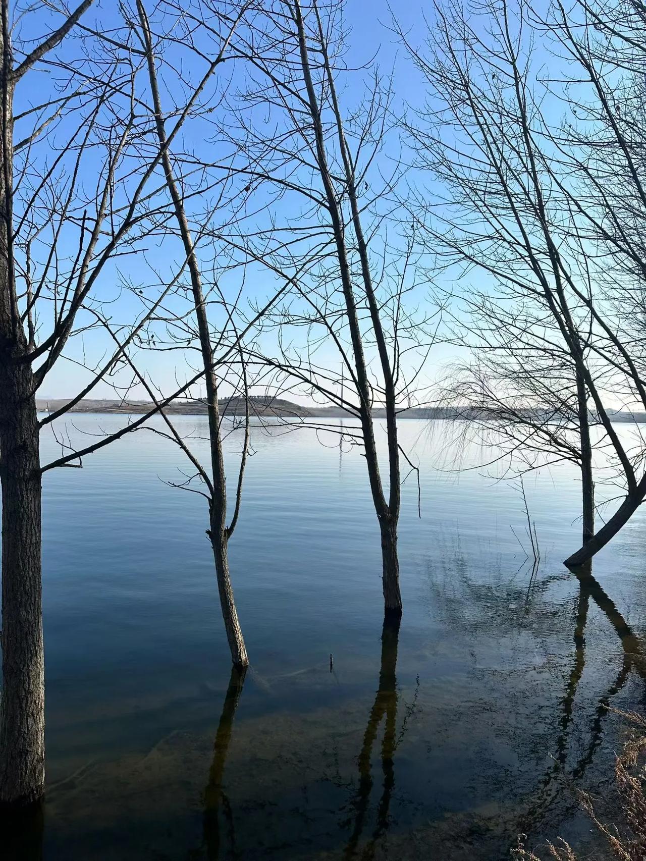 回孩子姥爷家，宁静的乡村~