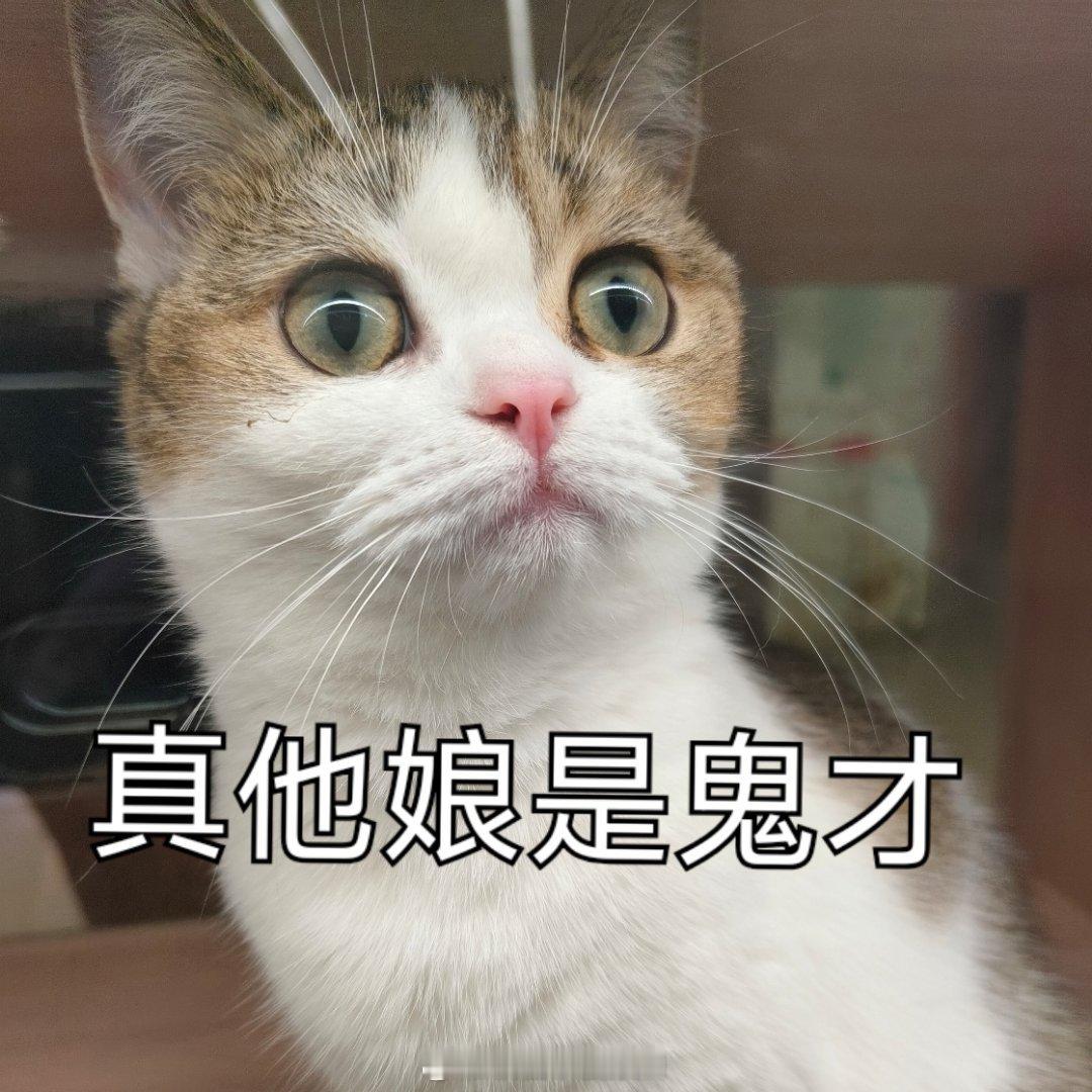 我不行了，我刷到个男媒婆陈述一个找女朋友的故事，一个男的180，99年，年入50
