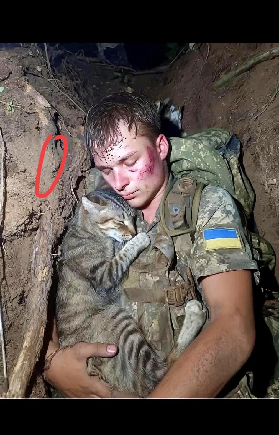 刷到这张图时，我盯着屏幕半天没回过神。顿涅茨克的战壕里，一个二十出头的乌克兰士兵