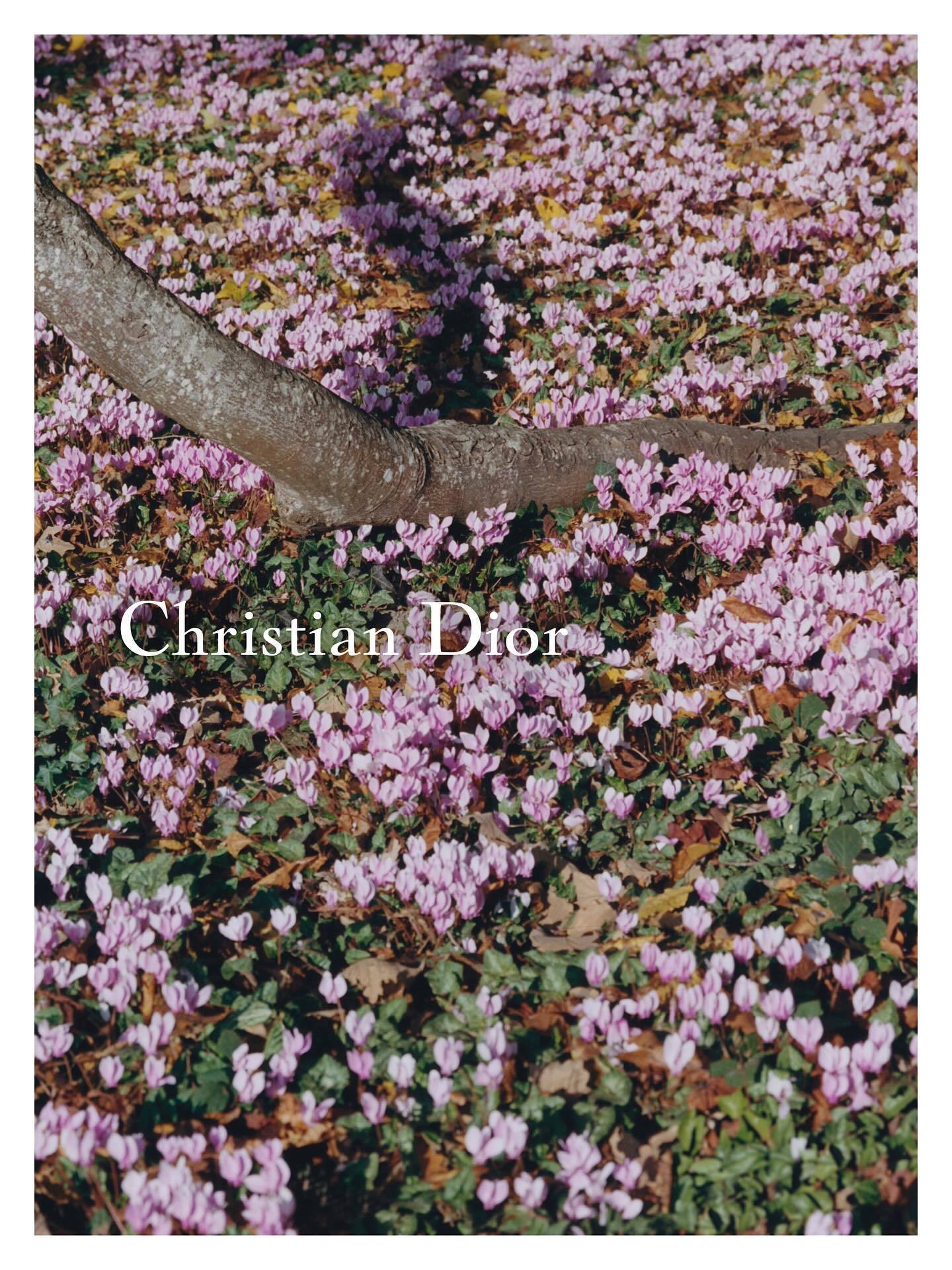 Christian Dior 的视觉之美 🌸 巴黎高定时装周