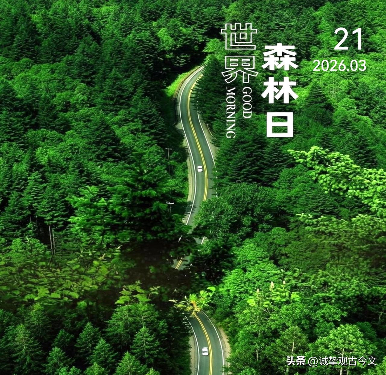 今天是世界森林日，守护每一片绿意，就是守护我们的呼吸。让绿意蔓延，让生机常在！