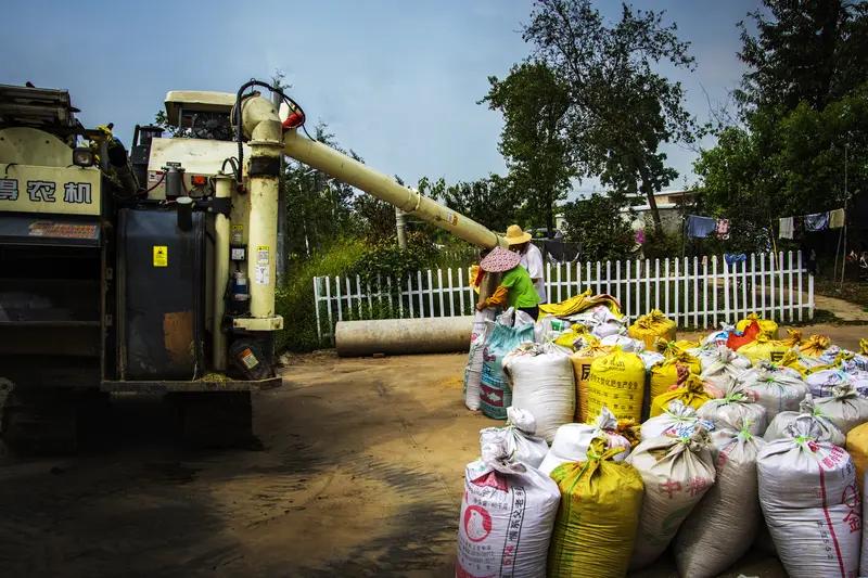 农业规模化下，土地集中在谁手里是个值得探讨的问题。

以前农村土地以家庭为单位种