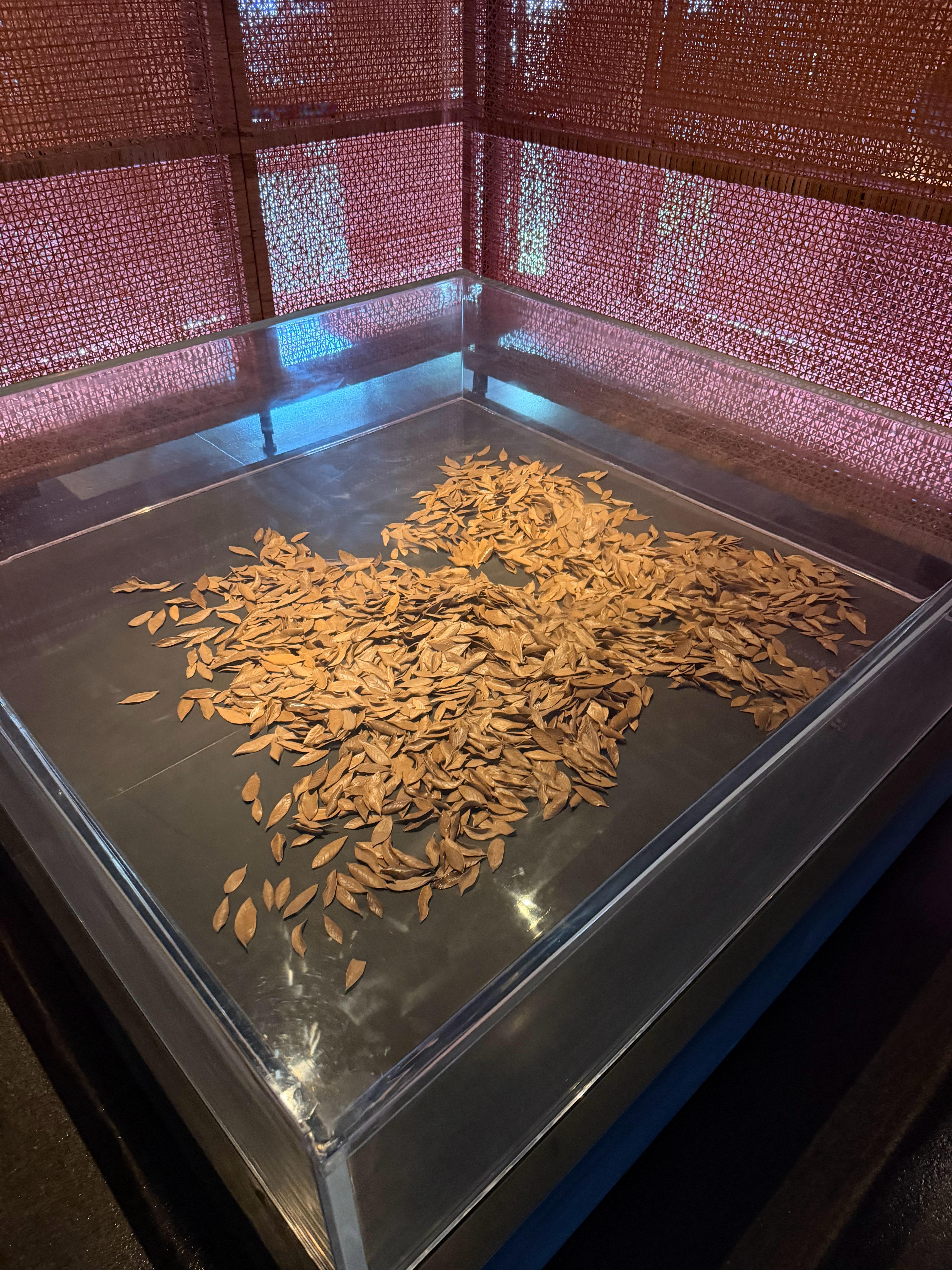 在酒店，欣赏这个艺术作品，小姐姐跟我说这个艺术品的叶子，纯手工制作，价值10美刀