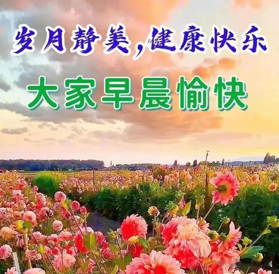 今日最新早上好问候语，祝福很甜，伴你永远！

🌙🍒月亮代表我的心，真诚的友谊
