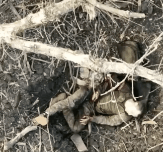 重伤的士兵向无人机乞求放过，无人机在短暂犹豫之后，还是将一枚手雷丢入了他的怀中！