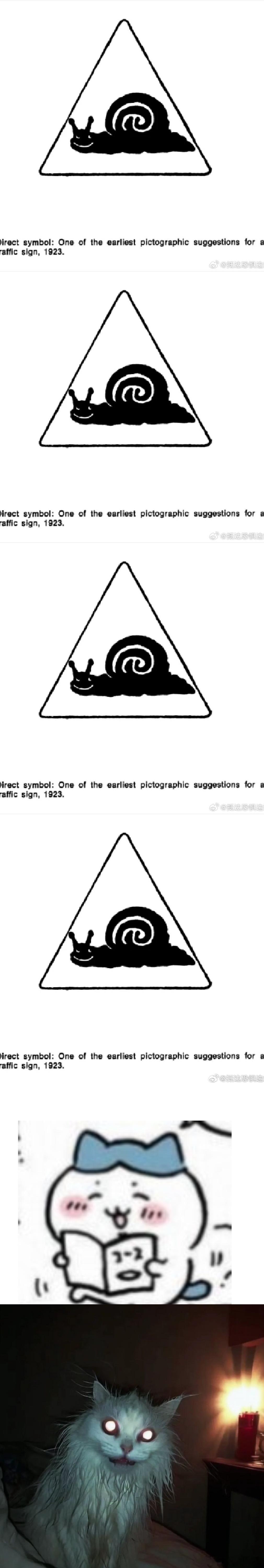 【猫】丑猫侧看到的。其实也不是很恐怖，我觉得没必要搞防窥图，但第一眼还是会被吓到