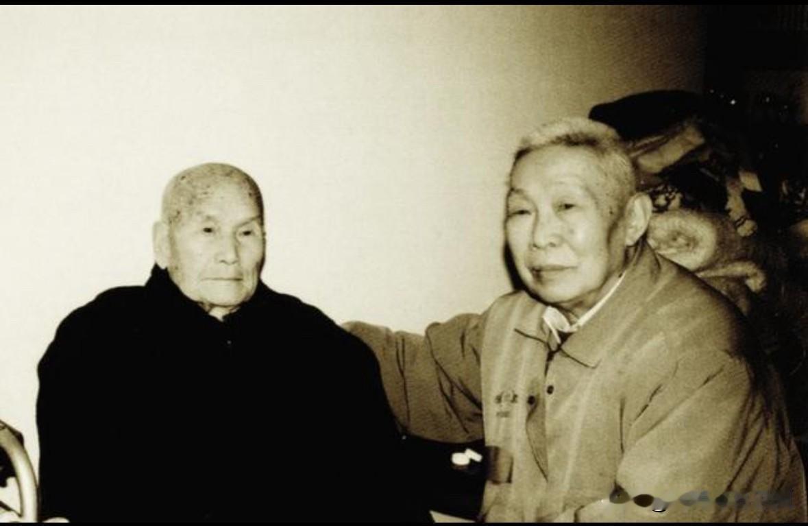这是开国少将胡炜与老领导周骏鸣在家中的一张晚年珍贵合影。周骏鸣是鄂豫边红军游击队