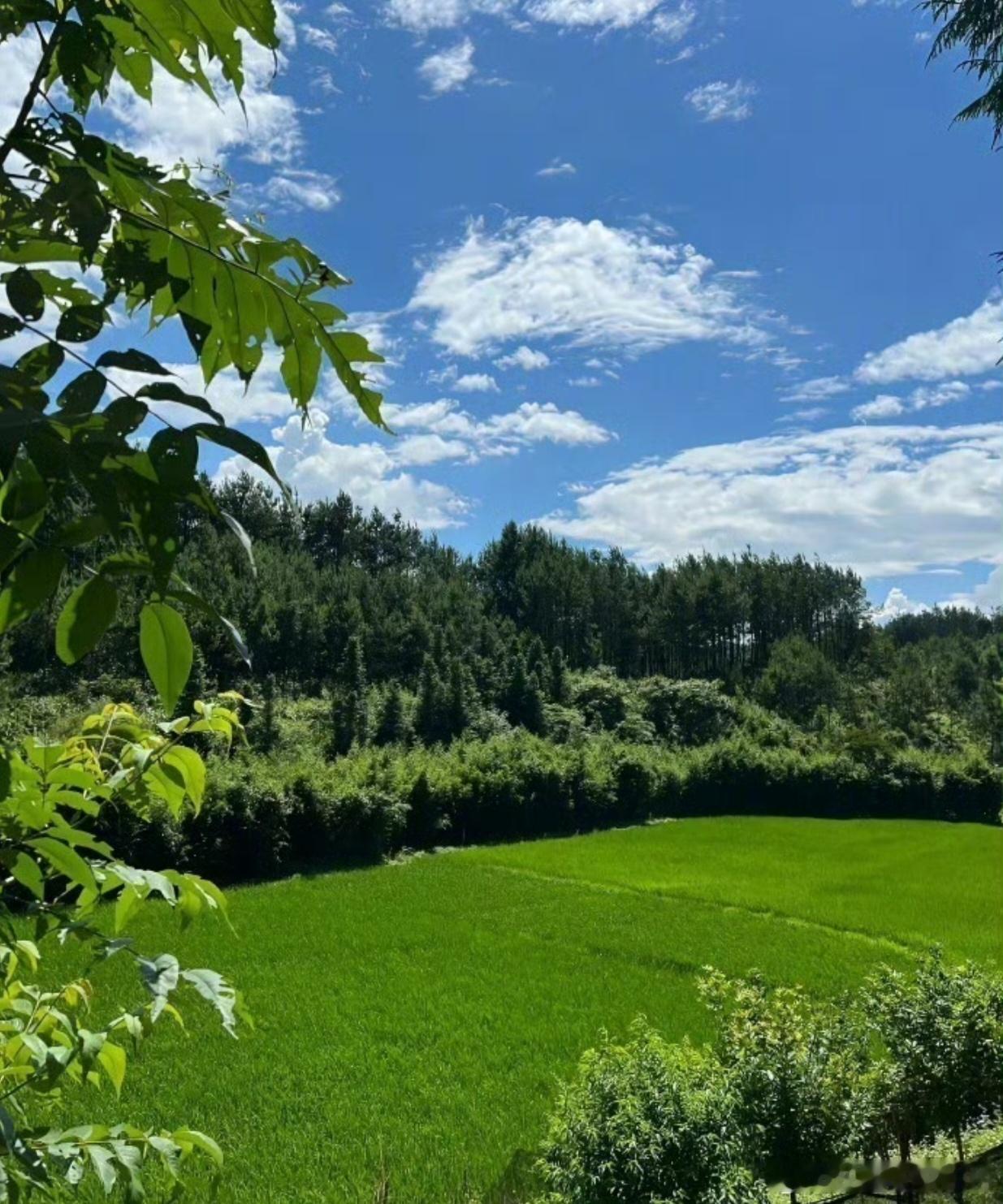 昆仑仙本—道德经：第十九章绝圣弃尊，利民万倍；绝仁弃义，民复孝兹。以武为文，故令