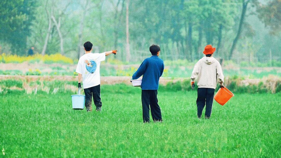 都想起来了 那年夏天在后陡门的故事太怀念了那时候的十个勤天了种地吧｜十个勤天 