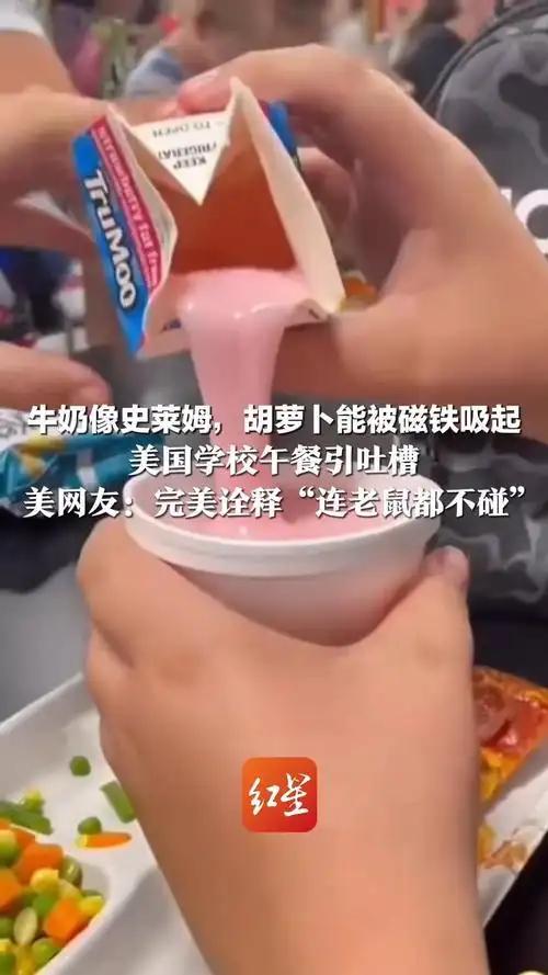 瞒不住了，美国学校毒午餐火爆全网，食物直接被磁铁吸起来
 
一则超3500万播放