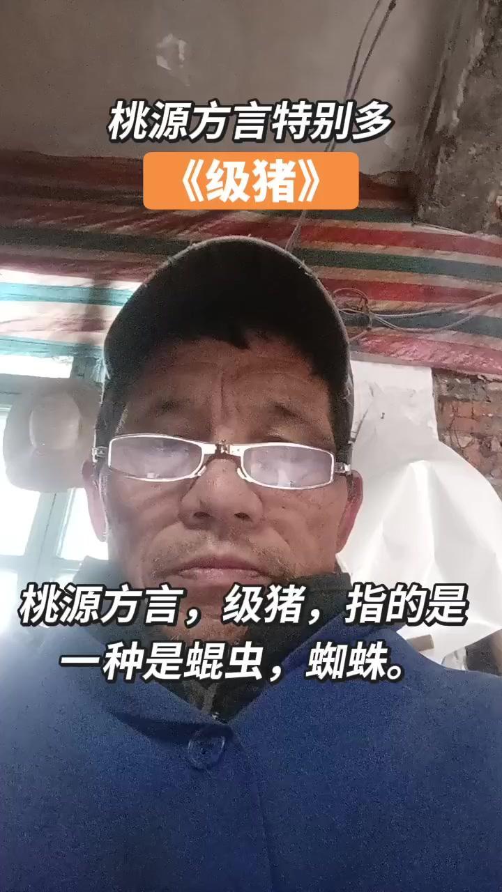 桃源方言有多有趣？大家好，我们桃源方言特别丰富。像“级猪”其实是蜘蛛的意思，这么