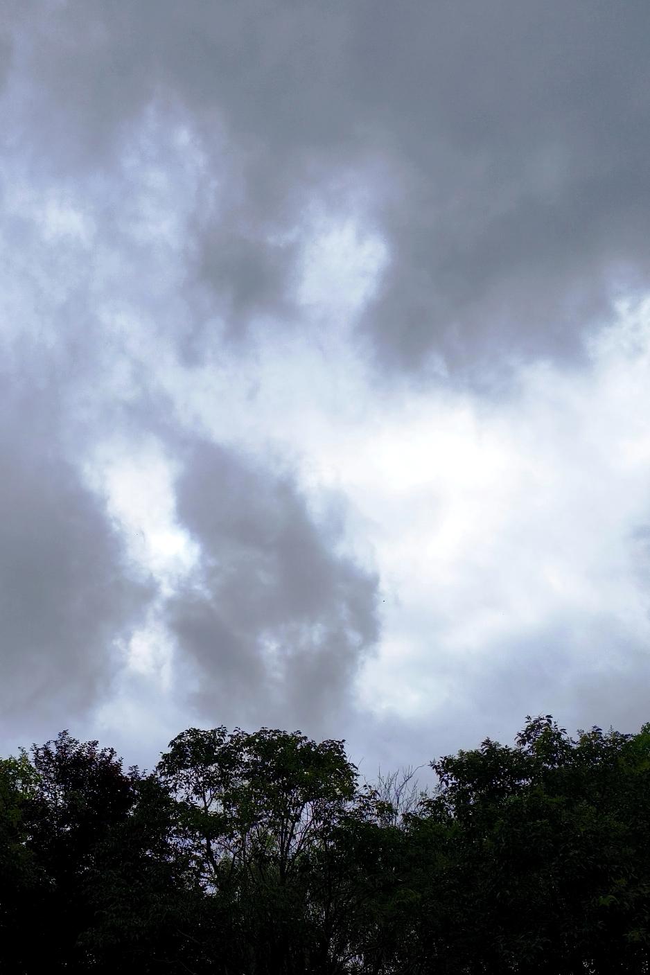 第九号台风“巴威”真的很奇怪！它到南京时，无风却全是雨，从昨天一直下到今天下午。