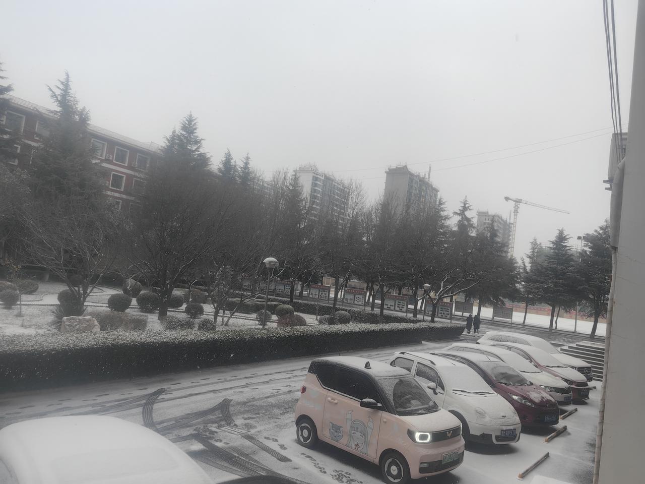 2026年的第一场雪，如约而至。祝福大家，瑞雪兆丰年，年年有庆余。事事皆如意，意