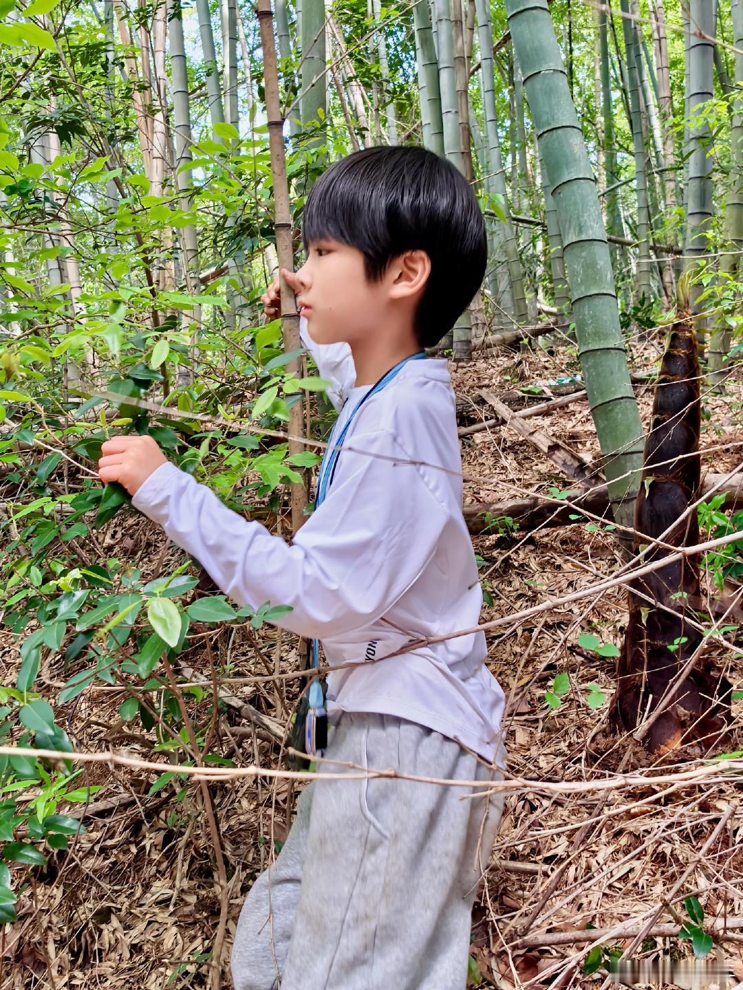 黄圣依小儿子9岁近照黄圣依小儿子9岁身高黄圣依小儿子9岁近照，这孩子不仅长得像妈