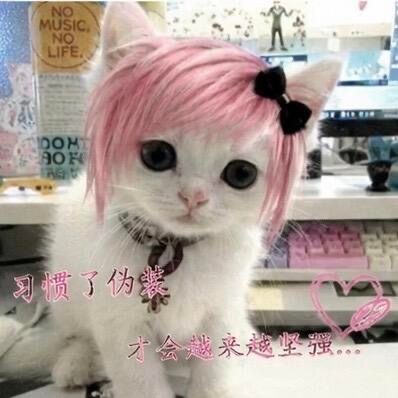 ꒰ঌ₊⁺铩 犸  特 涐  嗳 伱 ₊⁺໒꒱ 