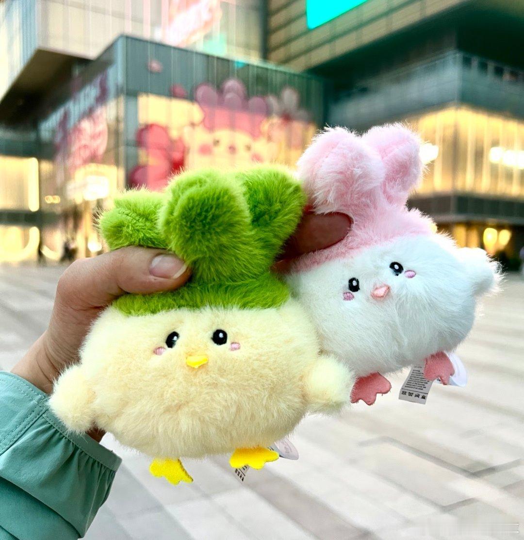 准备换回牛马IP，从夏天回去秋天，从满城桂花香回归遍地白果臭～  ​​​
