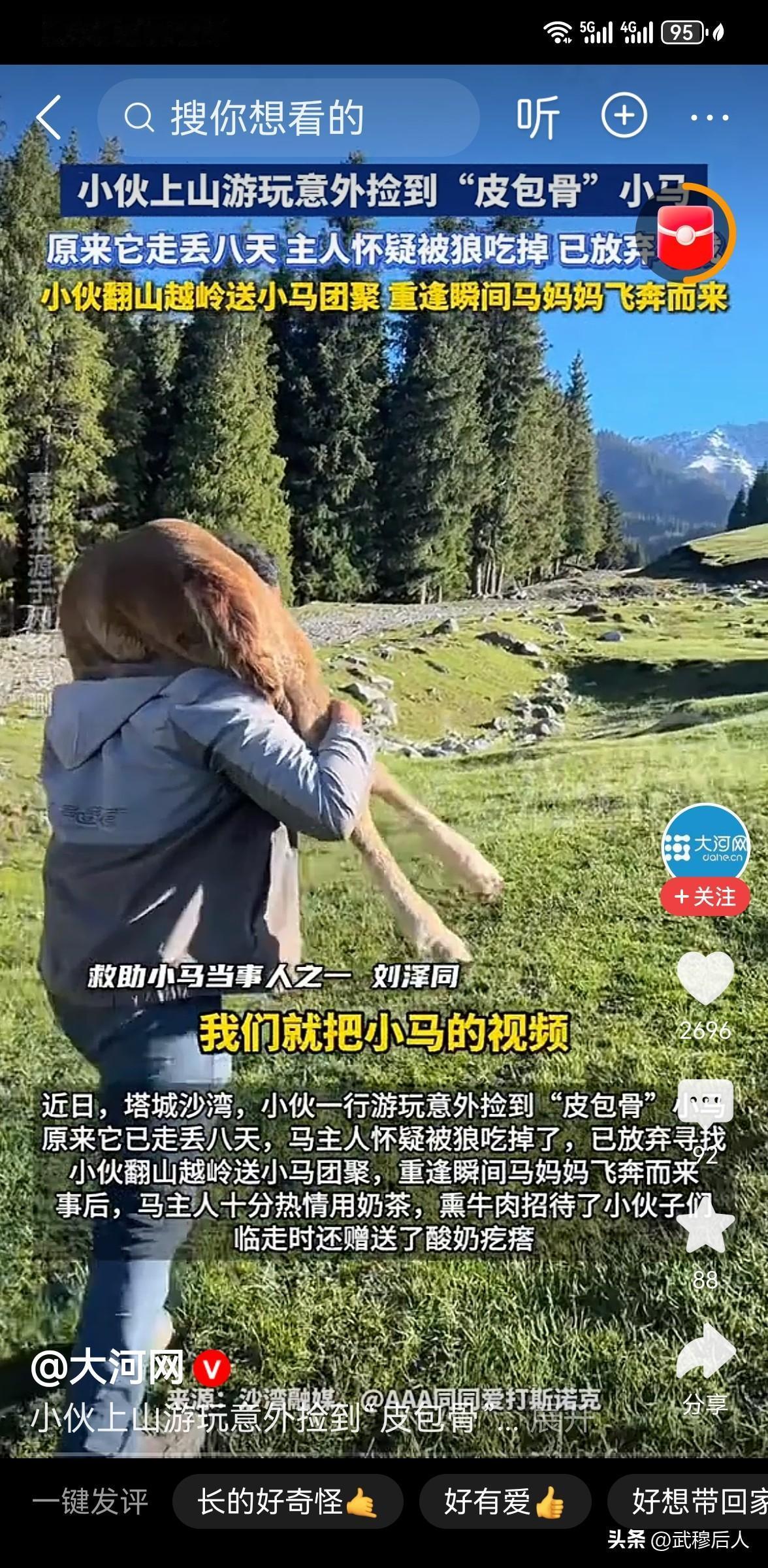 小伙捡到走失8天瘦骨小马，送归那一刻，马妈妈的反应看哭万千网友！
近日，新疆塔城