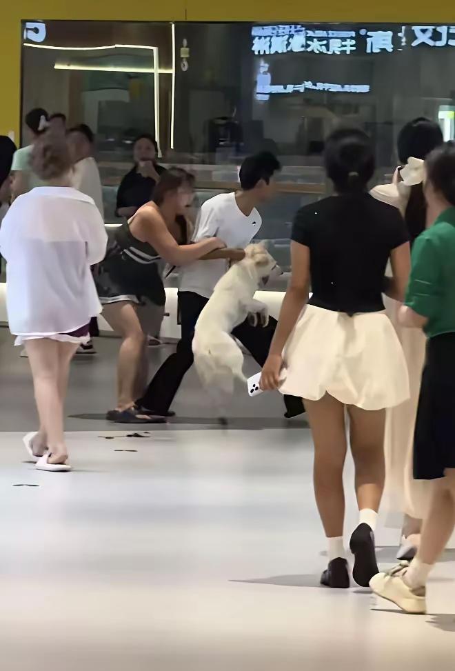 商场不牵狗绳，两人发生冲突，男子动手是真不应该。
地点:
湖南长沙的某商场，
发
