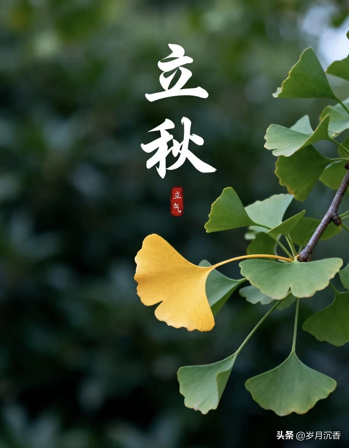 。民俗认为此时气场不稳，犯太岁属相需静养避冲煞；从养生来看，昼夜温差拉大、秋燥初