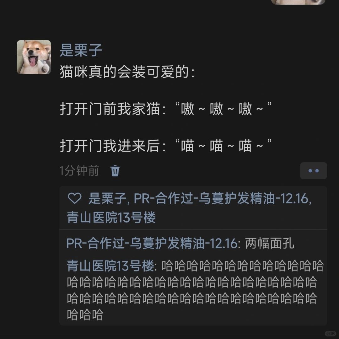 猫咪真的会装可爱的