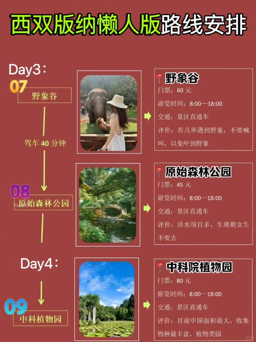 7-8月去西双版纳懒人攻略，直接抄作业！