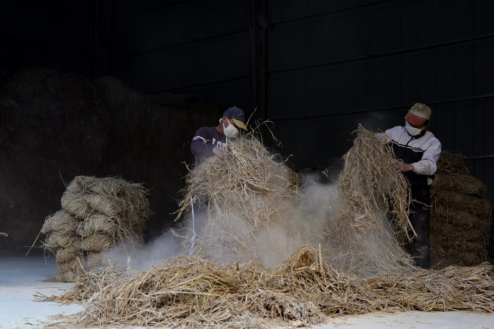#承载千年文明的宣纸是如何诞生的#【阅见千年——一张宣纸的诞生】#泾县宣纸的千年