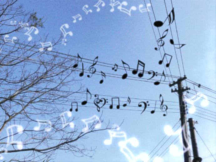 iPad 平板 电脑 壁纸 