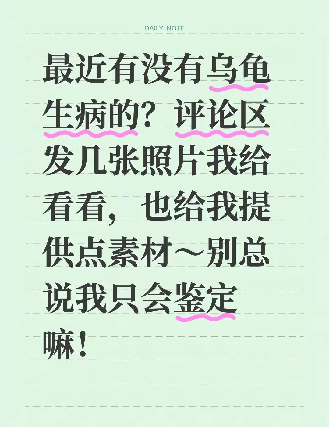最近有没有乌龟生病的？评论区发几张照片我给看看，也给我提供点素材～别总说我只会鉴