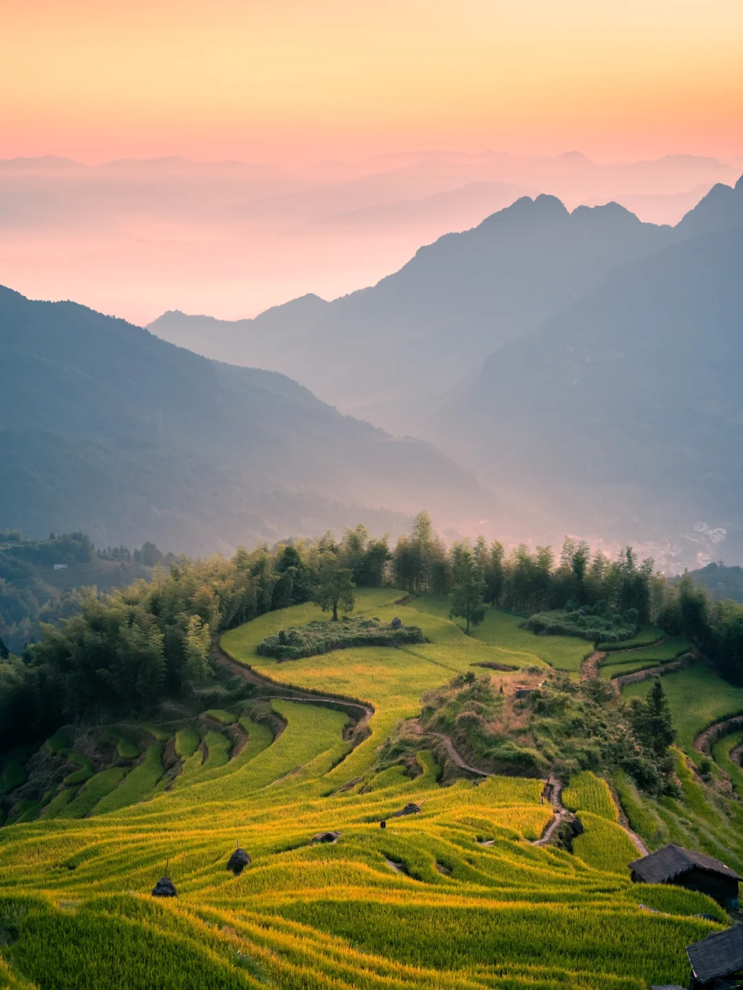 华东醉美梯田｜日出云海你想要的这里都有