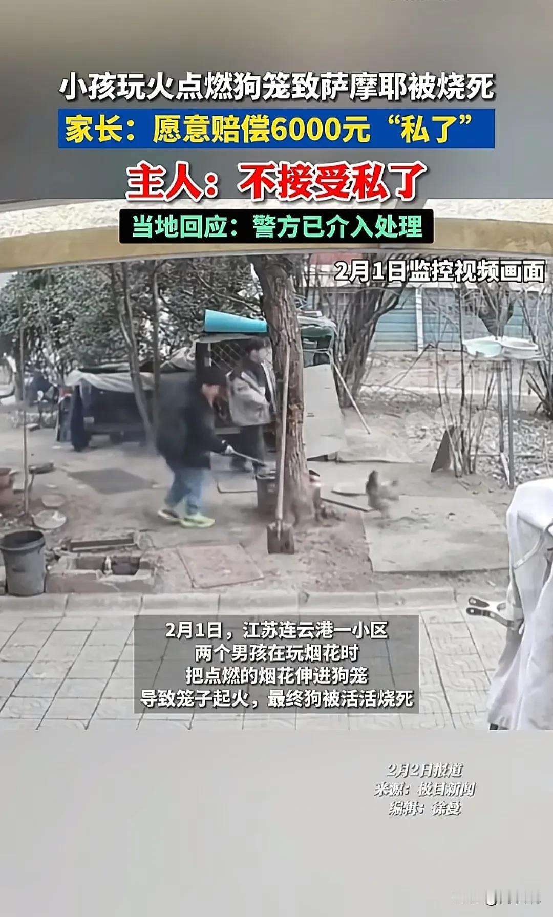 “天生怀种！”江苏连云港，两男孩在小区玩烟花时，突然将点燃的烟花伸进狗笼里，结果