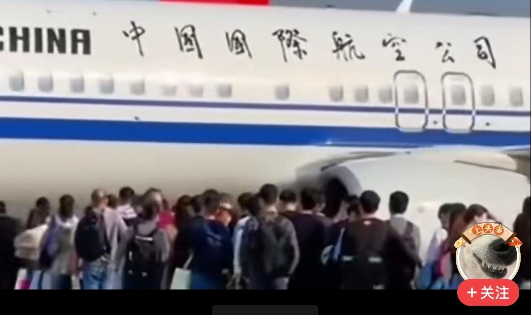 在日旅游中国游客是不是登上回国客机就安心了！早知今日何必当初呢？你要知道，哪怕你