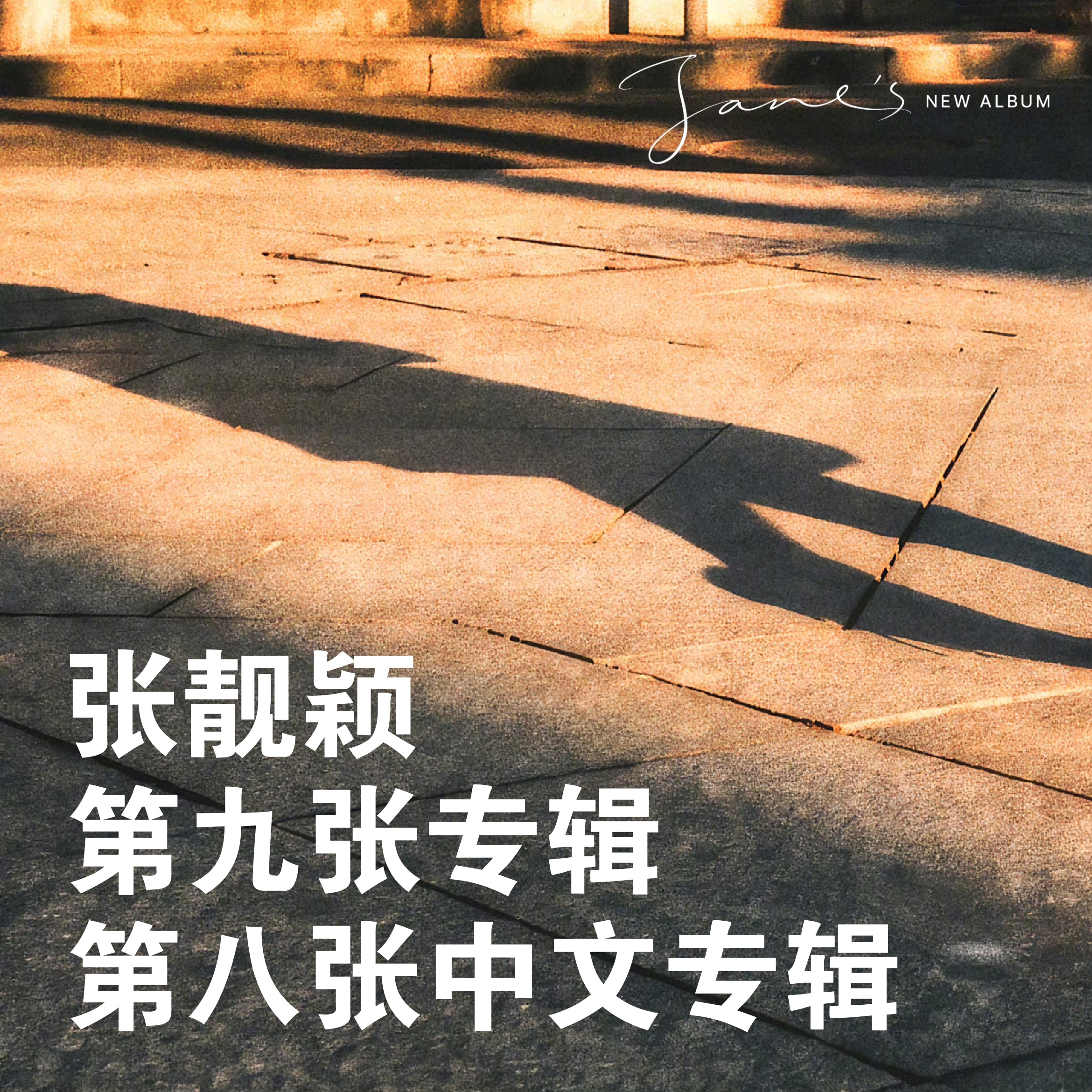 张靓颖 ▾张靓颖巡演现场官宣新专辑 🚨Jane's NEW ALBUM🚨「第