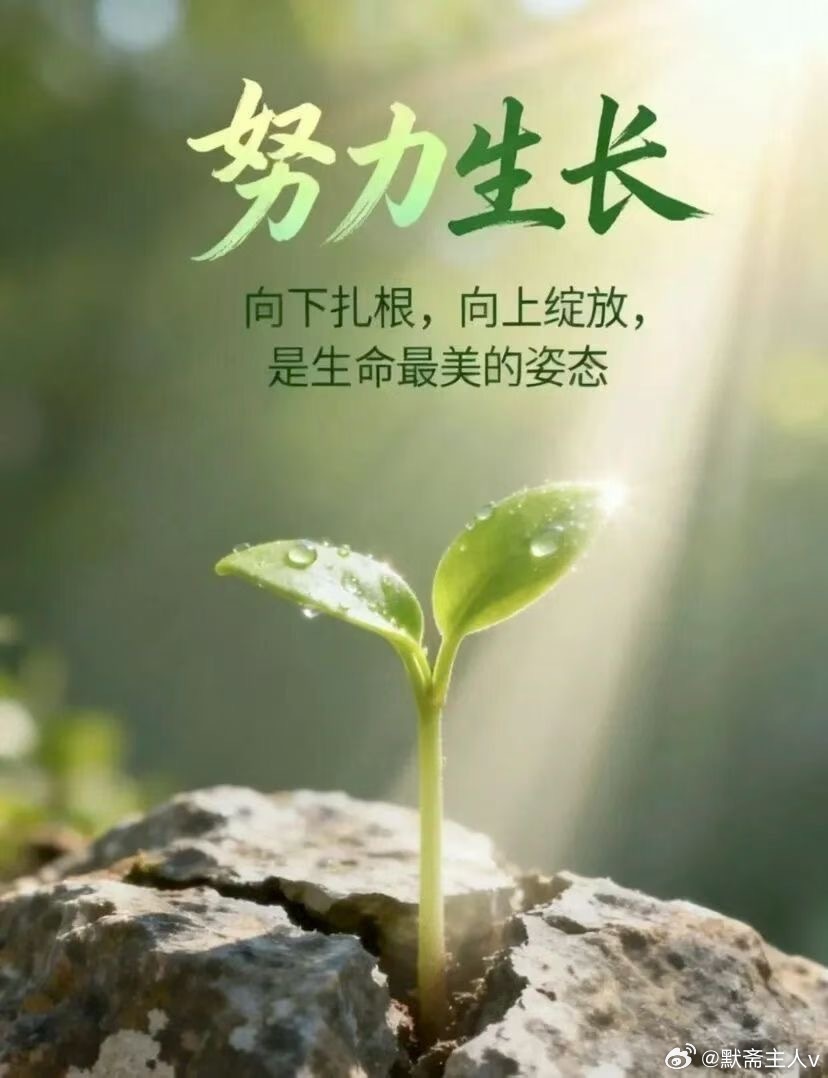 浮世清影：人间铁律·默斋主人原创散文巷口梧桐落了又黄，临街茶肆几番易主。人间离合