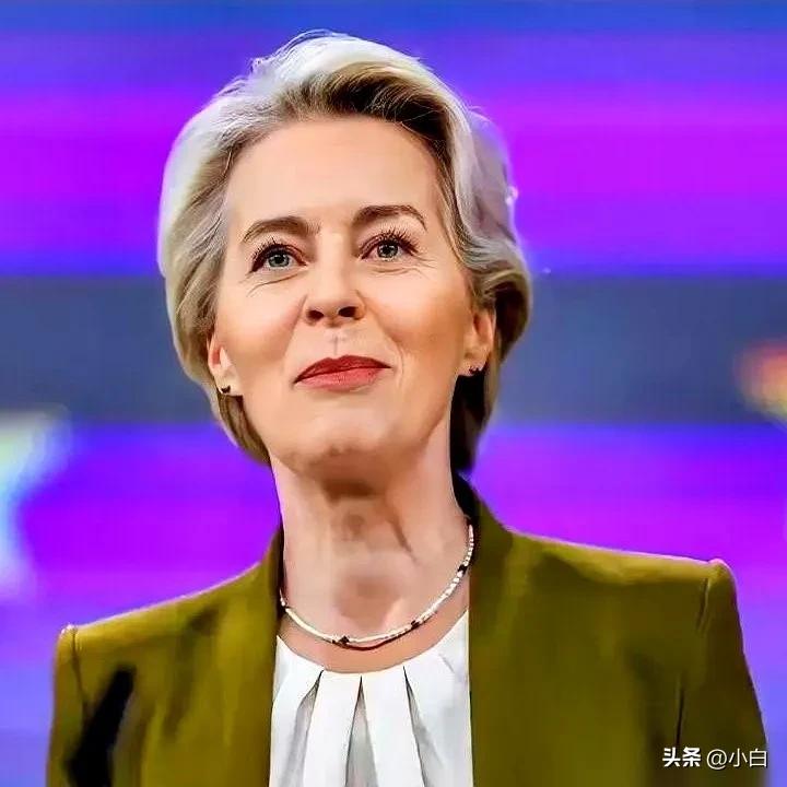 刷到个新闻，差点给我笑精神了。
欧洲那位大姐，冯德莱恩，对着全世界喊话：我们不接