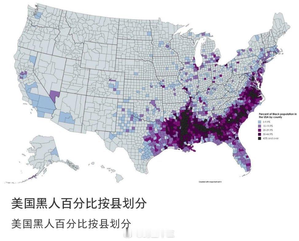 美国婴儿尝试中国婴儿食品 美国整体的黑人，其实不太多。主要在东海岸，我觉得是因为