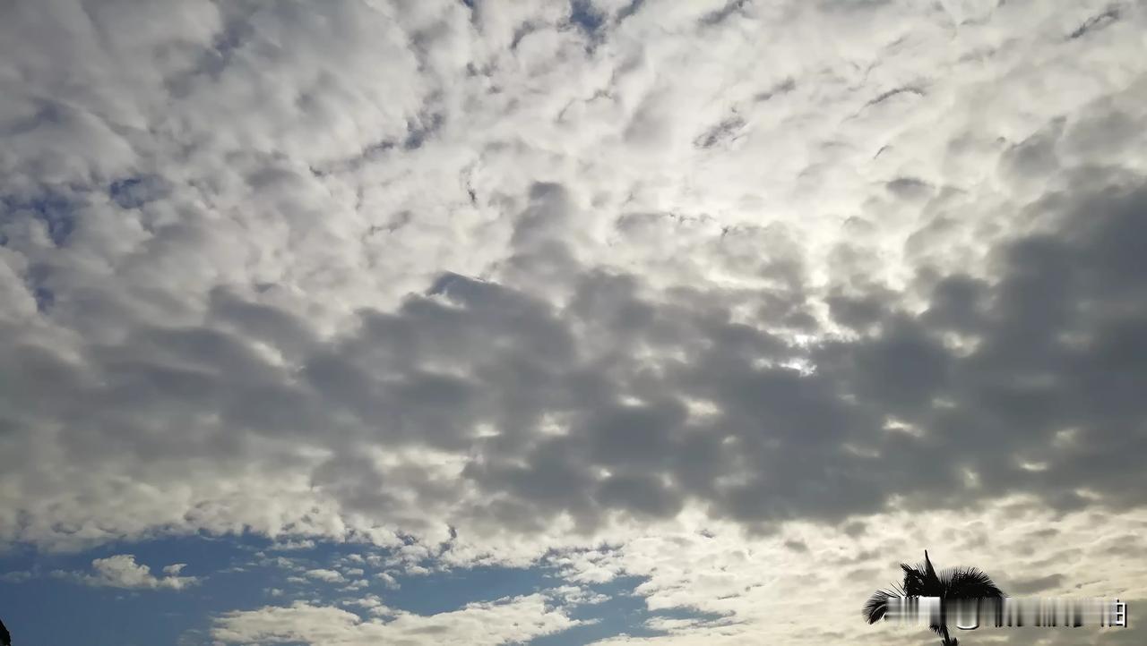 昨晚一直下雨，
从绵绵细雨到瓢泼大雨，
气温一度降至22℃，
居然有点冷，
睡觉