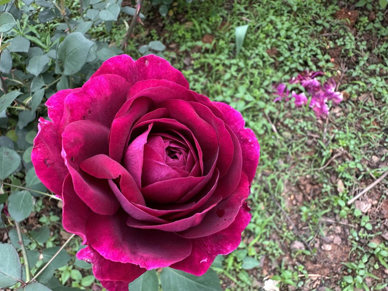 别担心！中国移动老用户续费攻略三步走，轻松省下每月30元。

第一步：厘清现状，