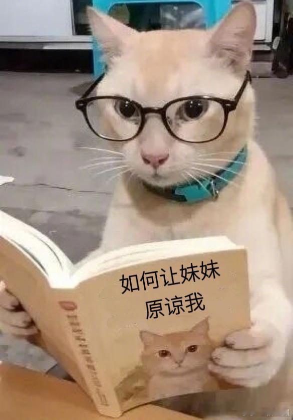 毛晓彤五连问赵又廷赵又廷回应毛晓彤《问心2》开播，毛晓彤五连问赵又廷（其实就是想