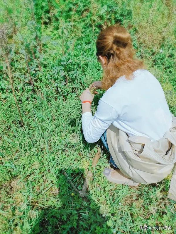 咸阳一位姑娘的相亲经历引发热议——男方邀她挖野菜，结果不仅独占劳动成果，两天后还
