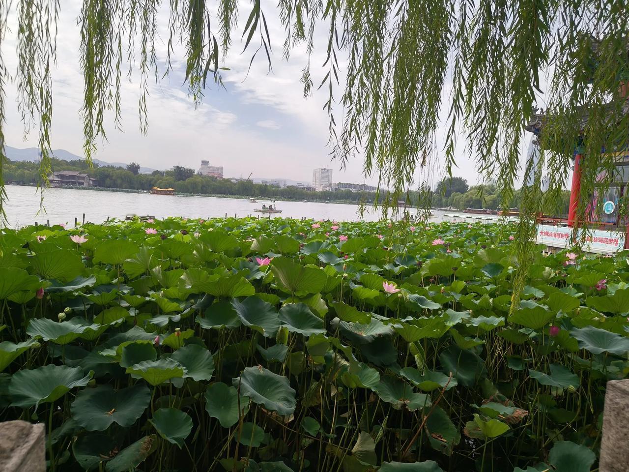 分享一张自然风景的照片，