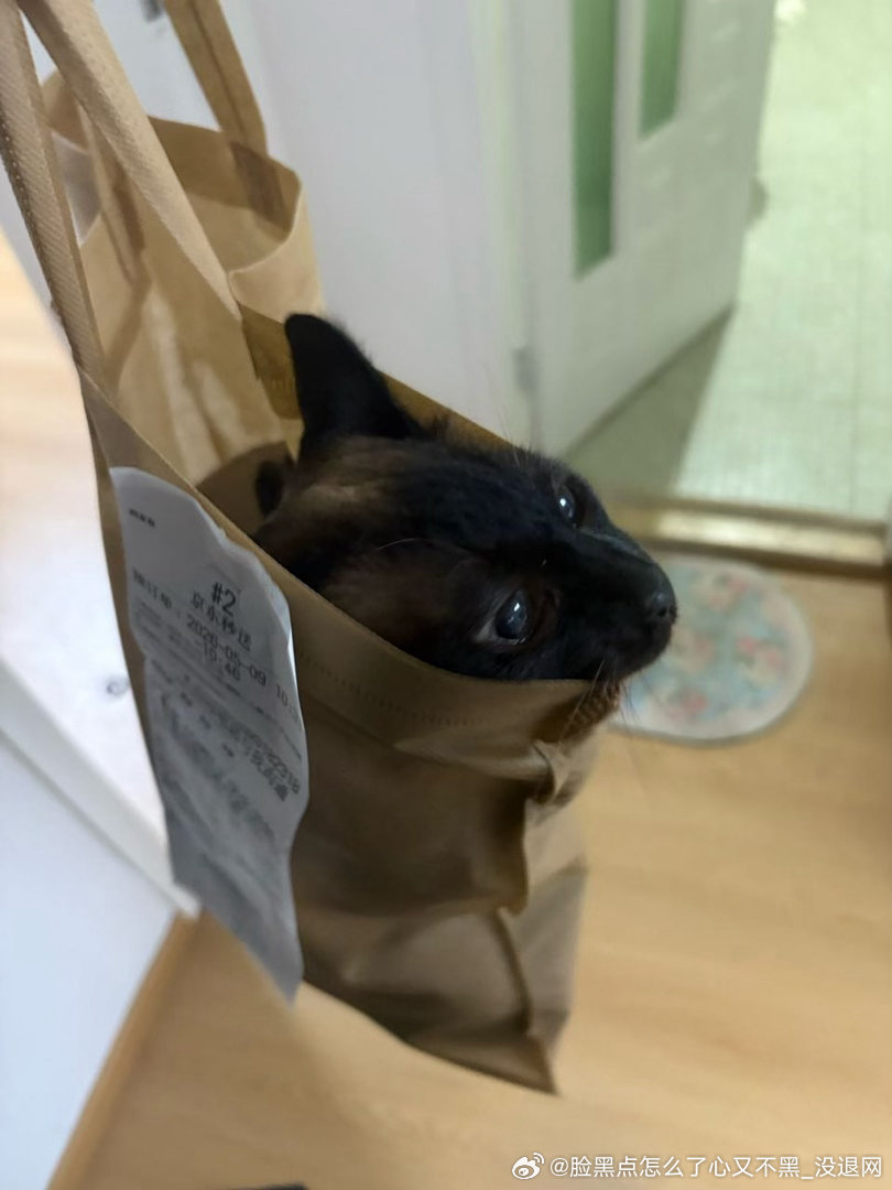 3859只黑脸您好，您网购的房山季鸟猴已经为您送货上门了