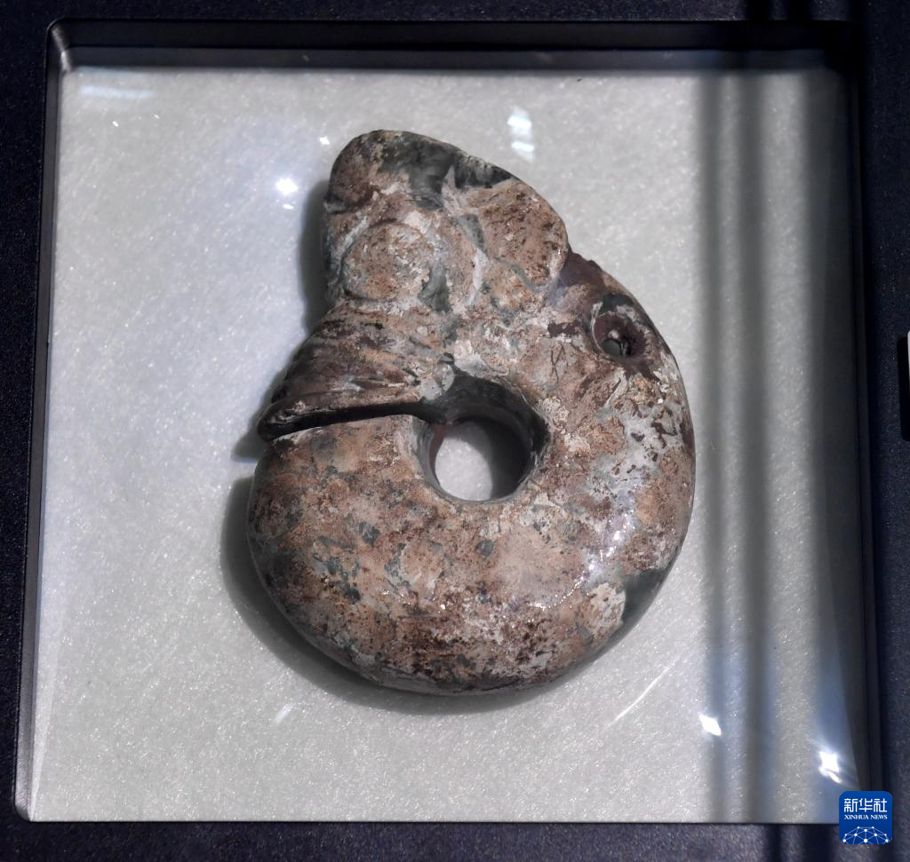 河北宣化郑家沟遗址出土的红山文化:玉猪龙 