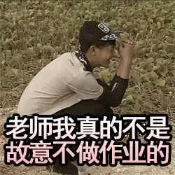 乖乖跟我吐槽数学老师太会搞心态了！这次发的卷子选择题答案居然全都是C。我写完回头