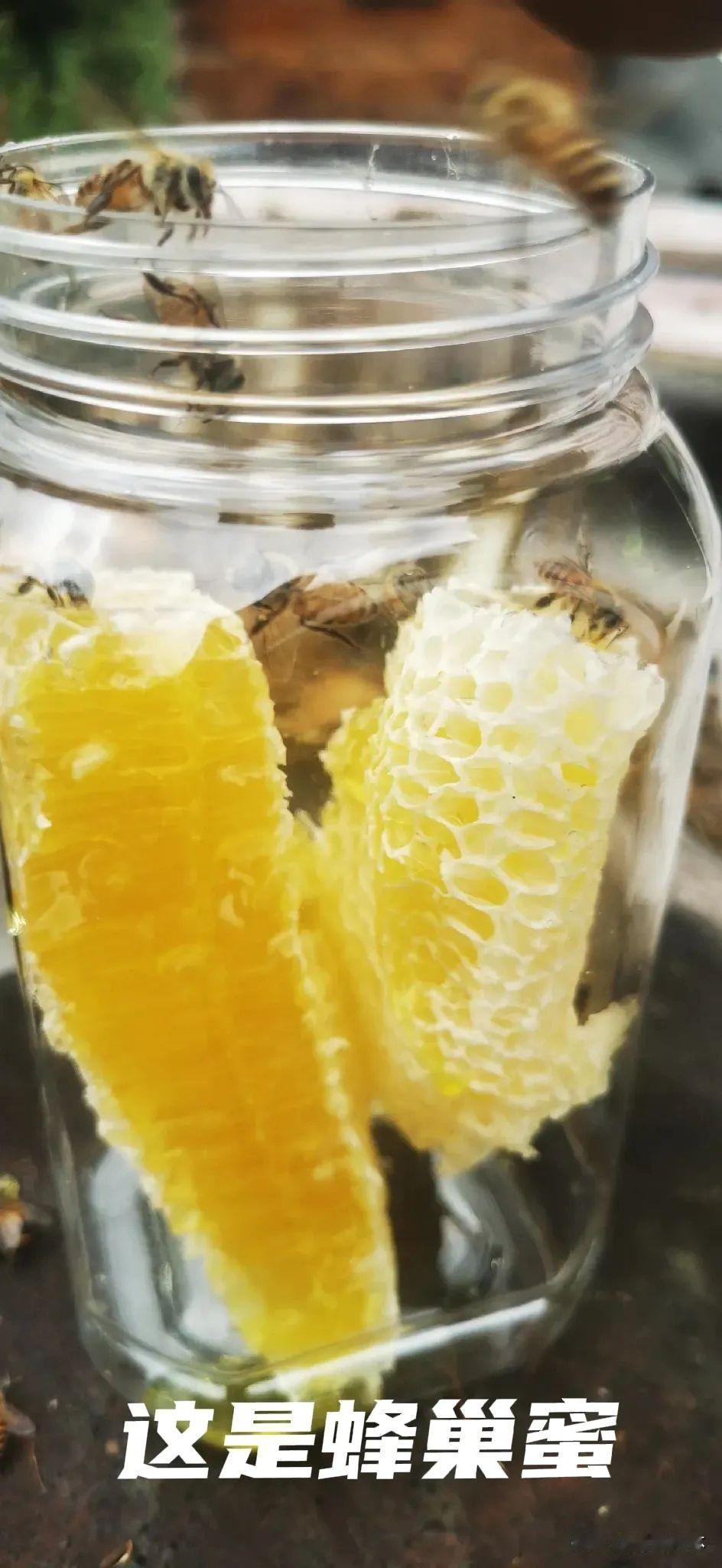 蜂蜜的三种状态，不同的蜂蜜结晶的时间长短不同，这是五倍子花蜜，属于高山花蜜，
试