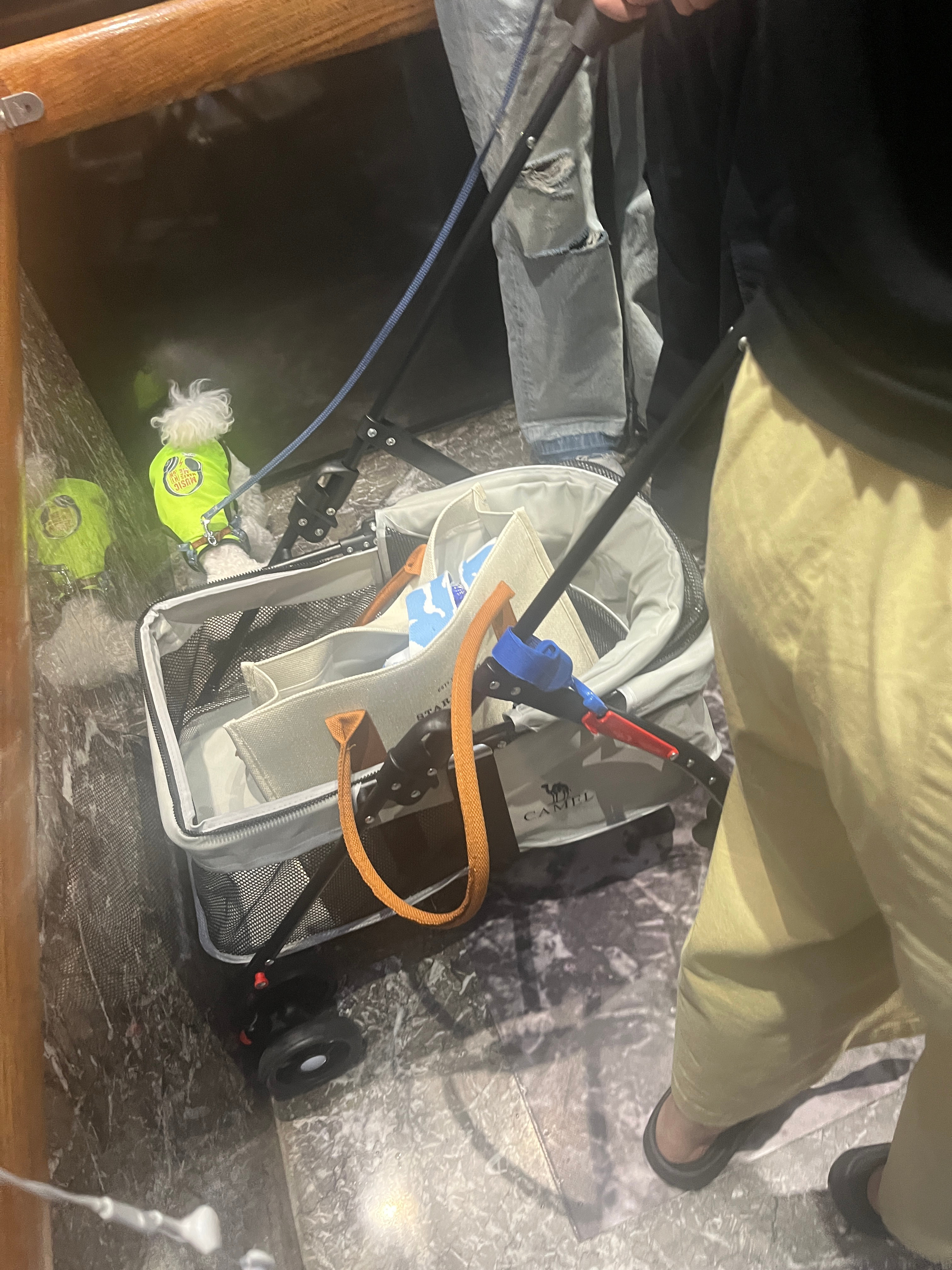 要么我财富自由要么对方财富自由要不然肯定一天吵一架这是必然恋爱这点破事